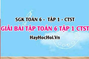 Giải Bài tập Toán 6 tập 1 SGK Chân trời sáng tạo